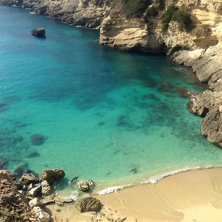 Vecchio Ulivo * Vignacastrisi