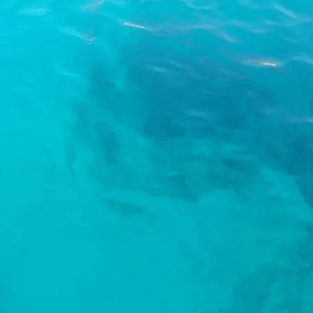 Appartamento Vecchio Ulivo Vignacastrisi