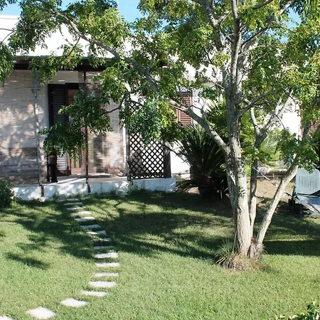 Vecchio Ulivo * Vignacastrisi