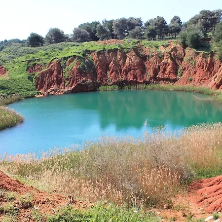 Vecchio Ulivo Vignacastrisi