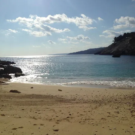 Vecchio Ulivo Vignacastrisi