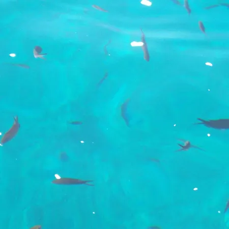 Apartmán Vecchio Ulivo Vignacastrisi