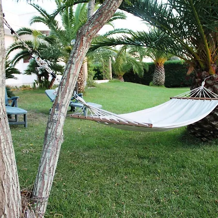 Vecchio Ulivo * Vignacastrisi