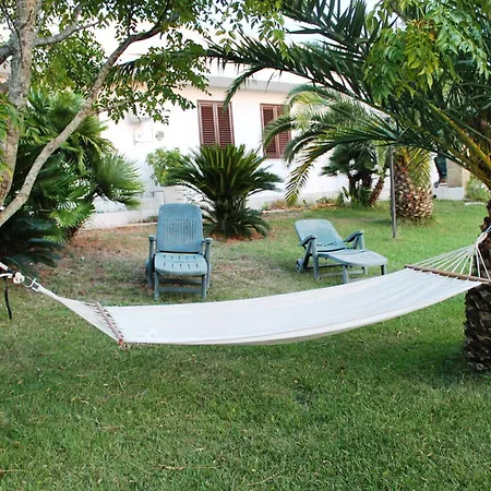 Vecchio Ulivo Vignacastrisi