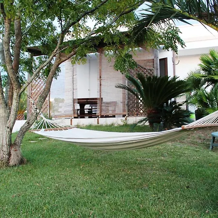 Vecchio Ulivo * Vignacastrisi