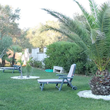 Vecchio Ulivo * Vignacastrisi